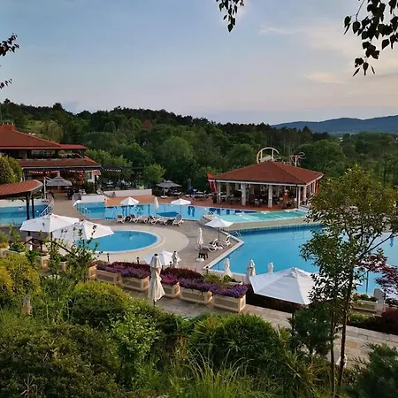 The Vacation Deserve